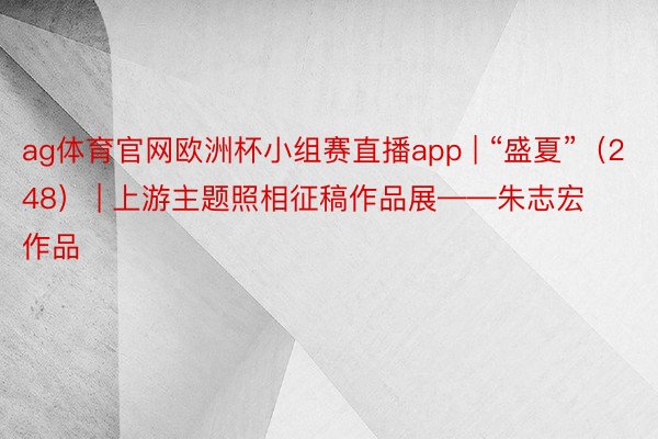 ag体育官网欧洲杯小组赛直播app | “盛夏”（248） | 上游主题照相征稿作品展——朱志宏作品