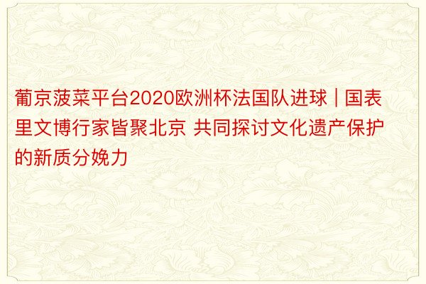 葡京菠菜平台2020欧洲杯法国队进球 | 国表里文博行家皆聚北京 共同探讨文化遗产保护的新质分娩力