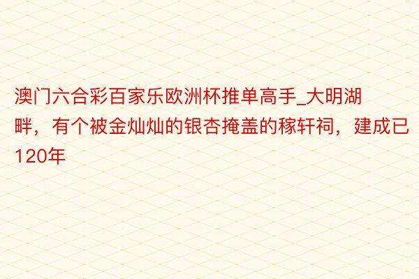 澳门六合彩百家乐欧洲杯推单高手_大明湖畔，有个被金灿灿的银杏掩盖的稼轩祠，建成已120年