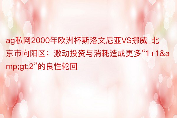 ag私网2000年欧洲杯斯洛文尼亚VS挪威_北京市向阳区：激动投资与消耗造成更多“1+1&gt;2”的良性轮回